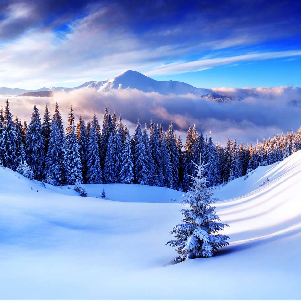 ośnieżone drzewa w zimowych górach puzzle online