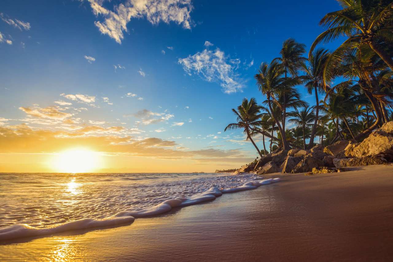 Rajska plaża na tropikalnej wyspie? puzzle online