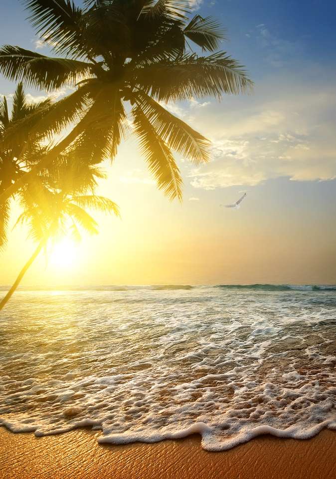 Ocean Indyjski o zachodzie słońca, Sri Lanka puzzle online