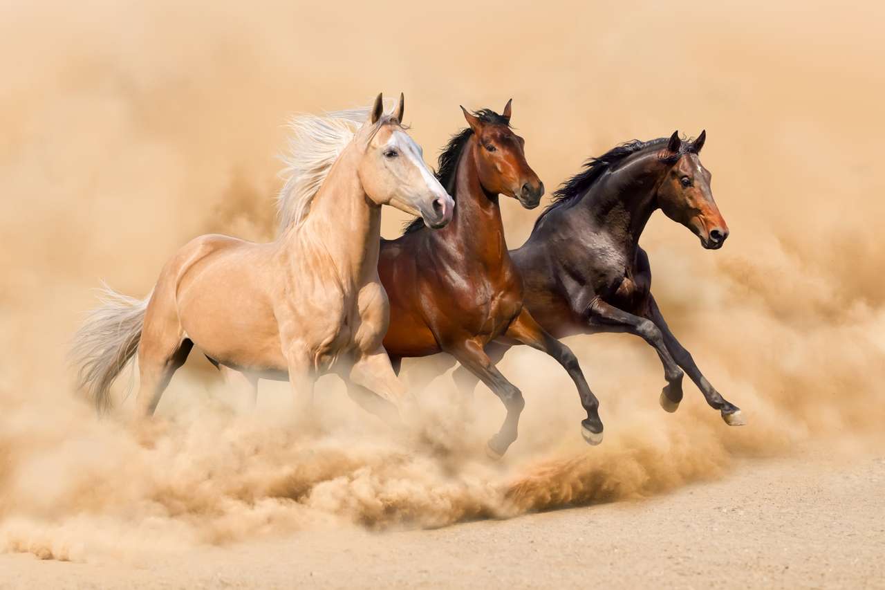 Trzy konie biegną w pustynnej burzy piaskowej puzzle online