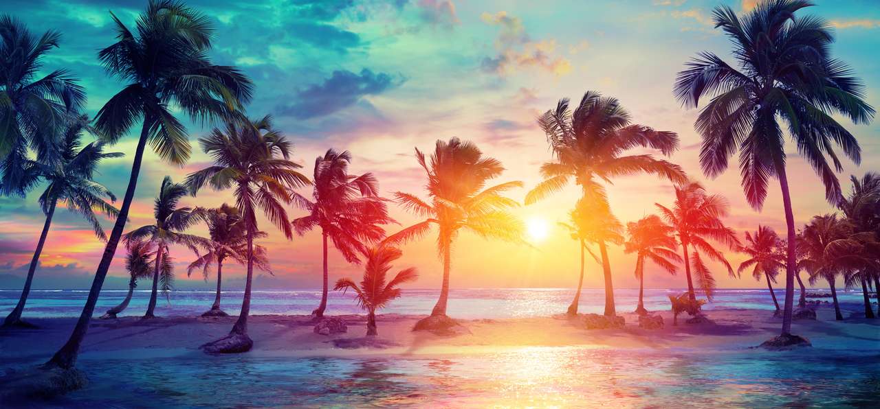 Sylwetki drzew palmowych na tropikalnej plaży o zachodzie słońca puzzle online