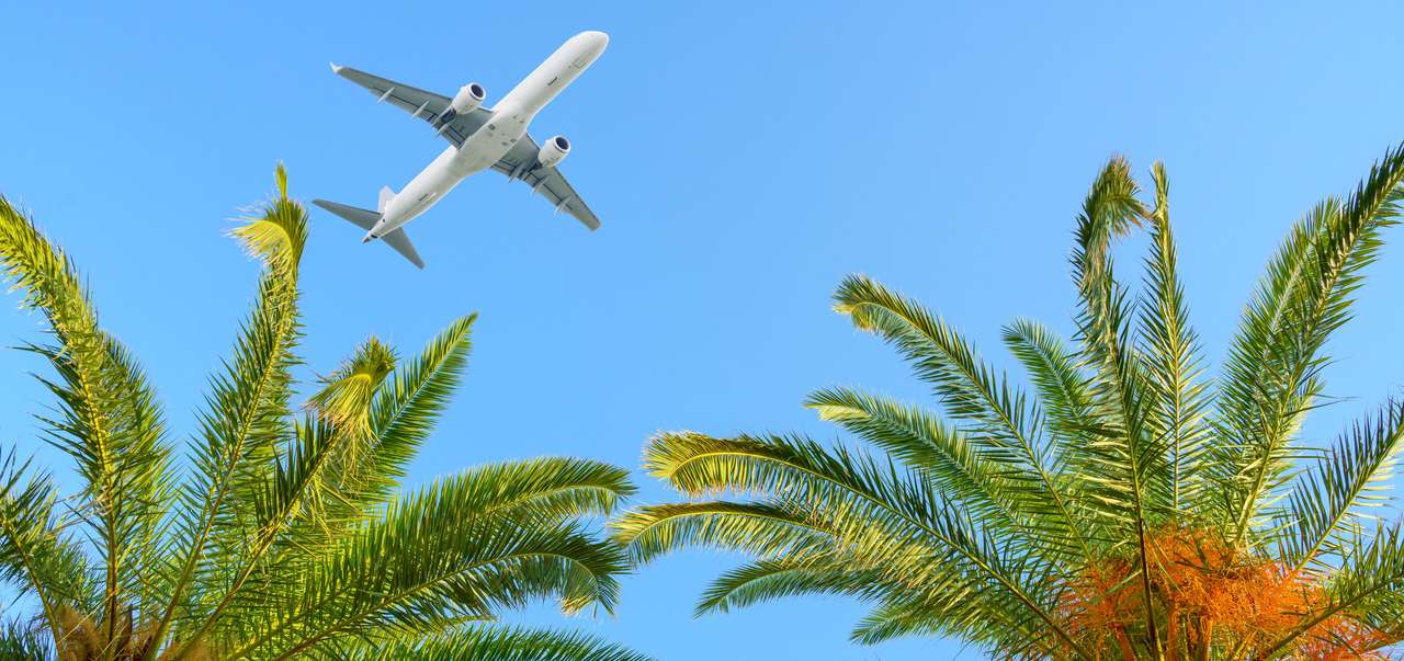 Samolot lecący nad tropikalnymi palmami puzzle online