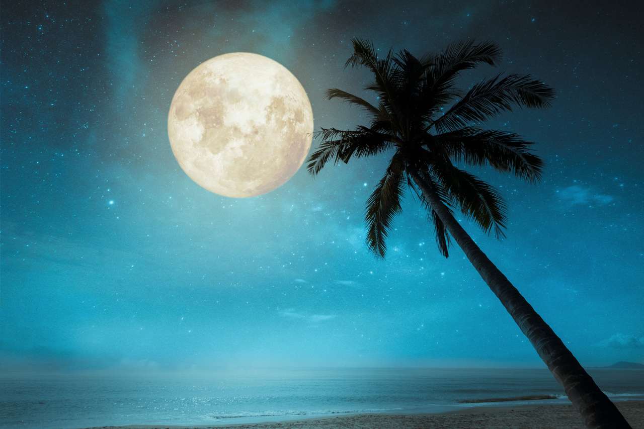 Tropikalna plaża z gwiazdą na nocnym niebie, pełnia księżyca puzzle online