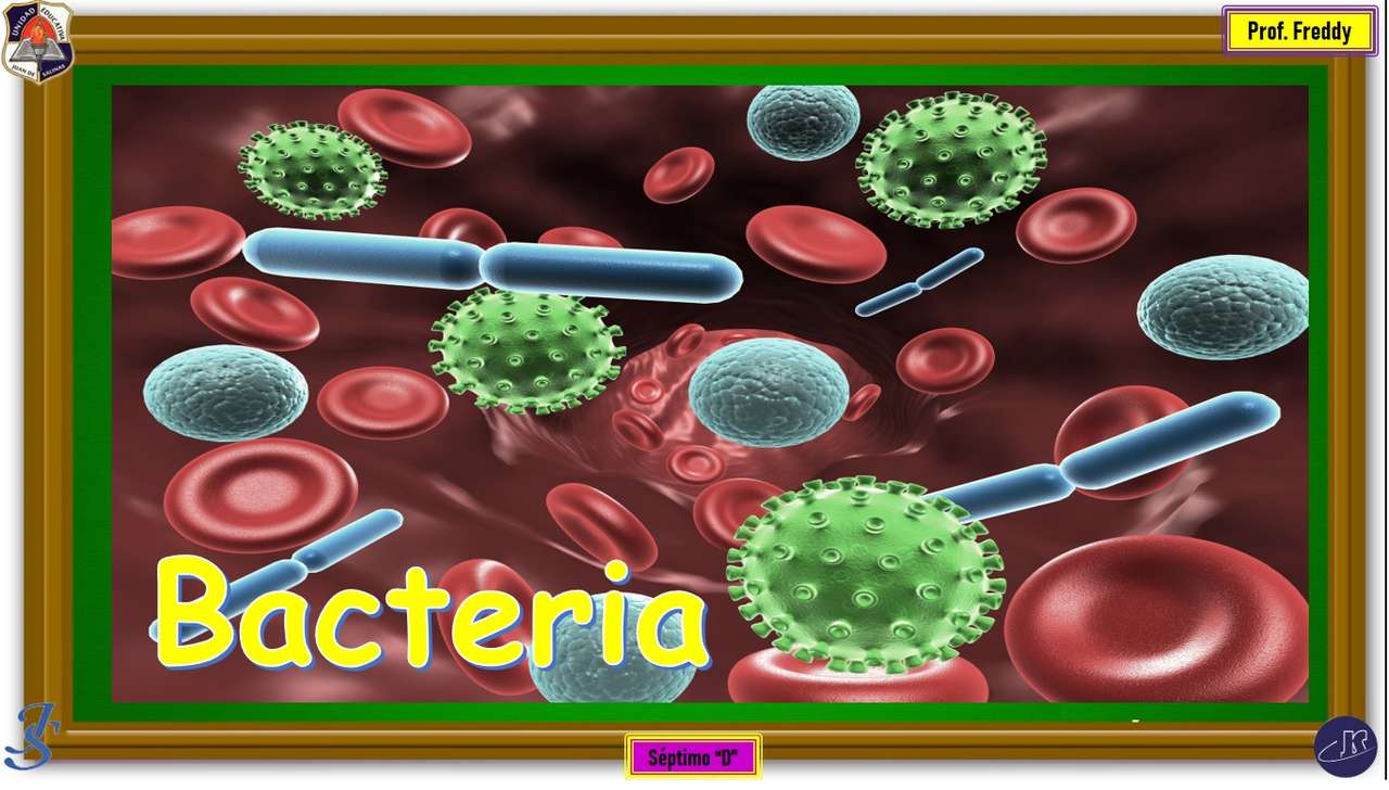 bakteria puzzle online