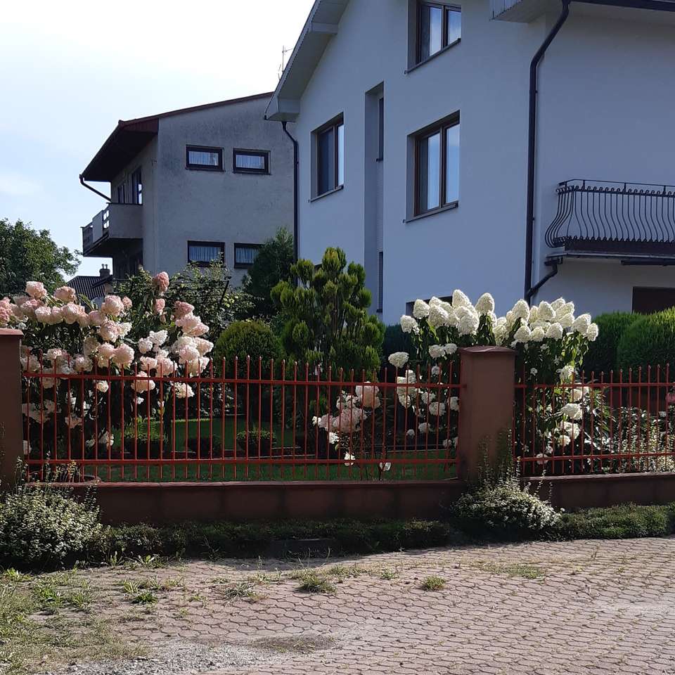 Цветы перед домом головоломка