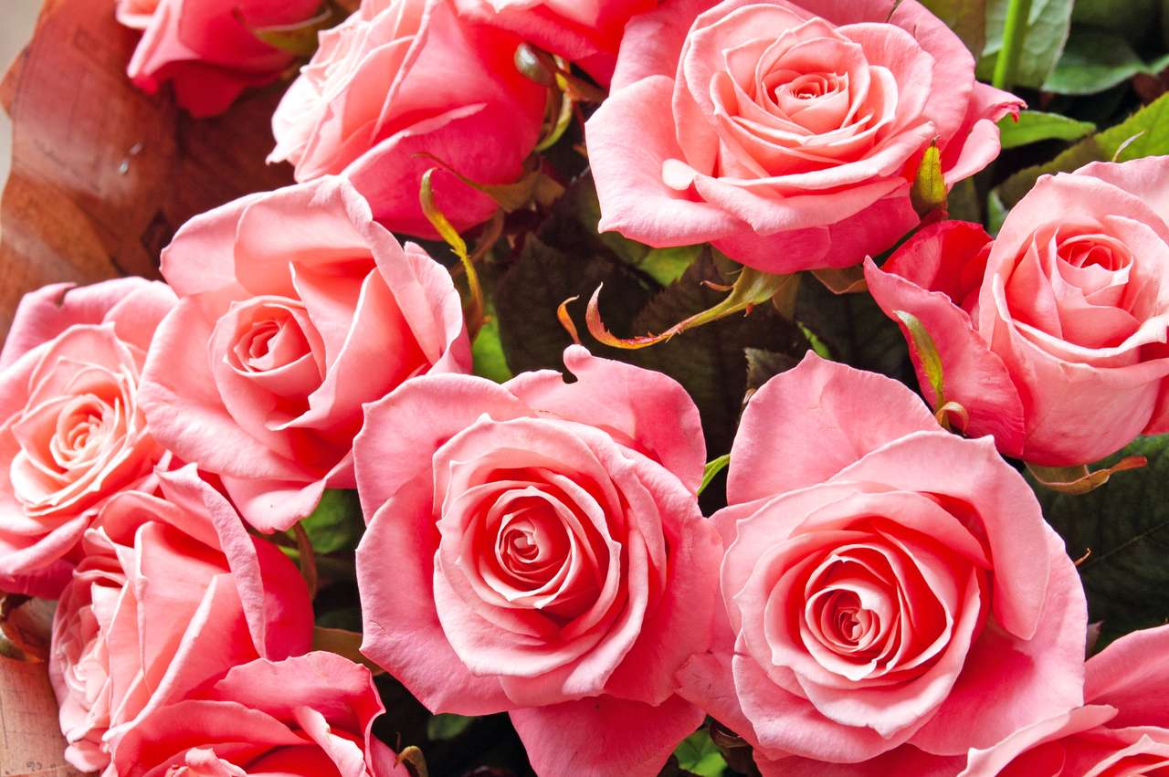 Piękny różowy bukiet róż puzzle online