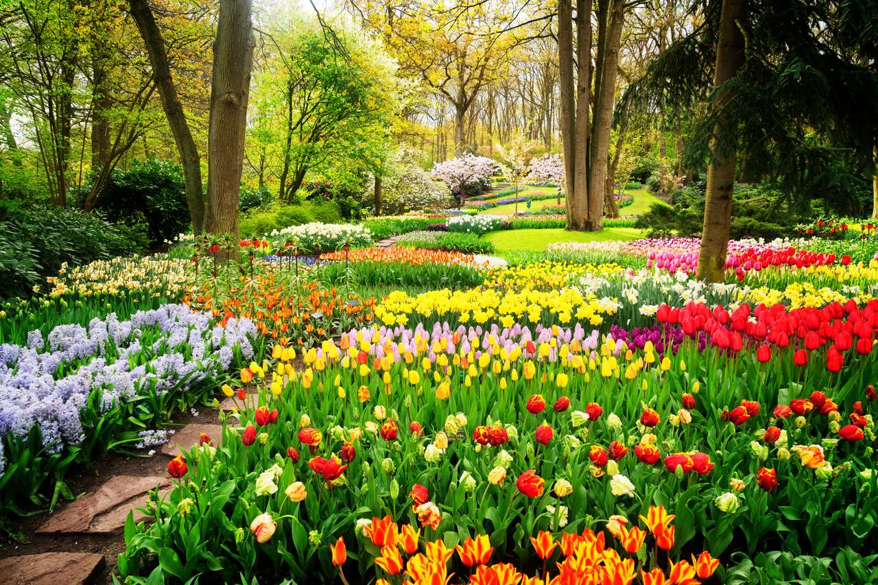Kwietniki Kolorowe Tulipany puzzle online