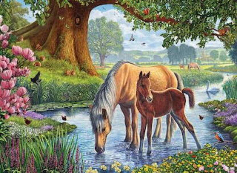 Małe konie piją wodę z rzeki puzzle online