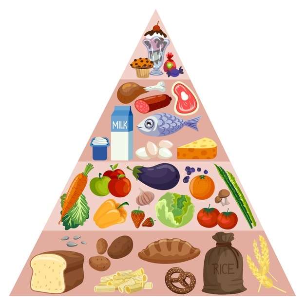 piramida żywienia puzzle online