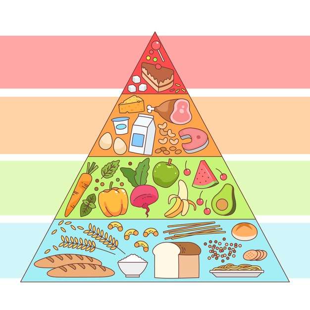 pyramide alimentaire puzzle
