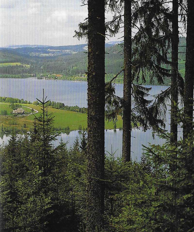 Schluchsee puzzle online