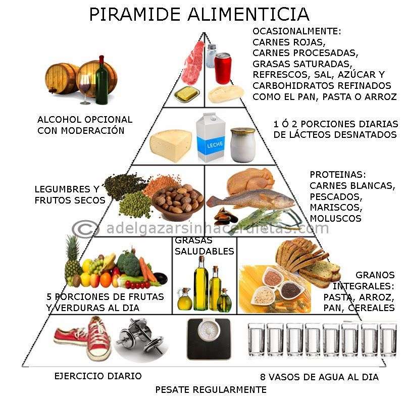 piramida żywienia puzzle online