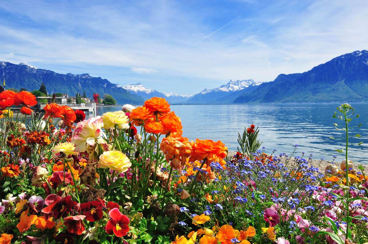 Szwajcarski krajobraz puzzle online