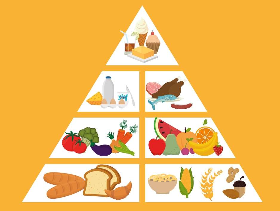 Puzzle piramidy żywieniowe puzzle online
