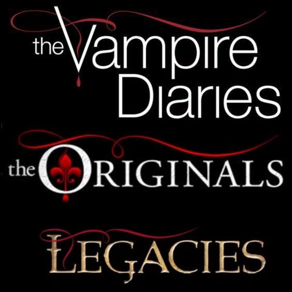 TVD DO Legacy puzzle online