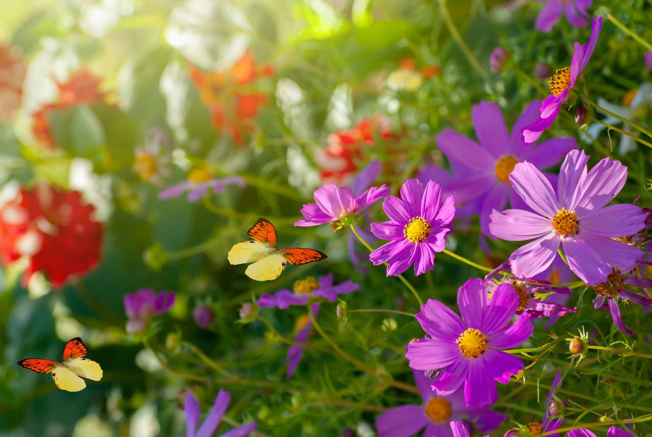 Piękne kwitnące kwiaty puzzle online