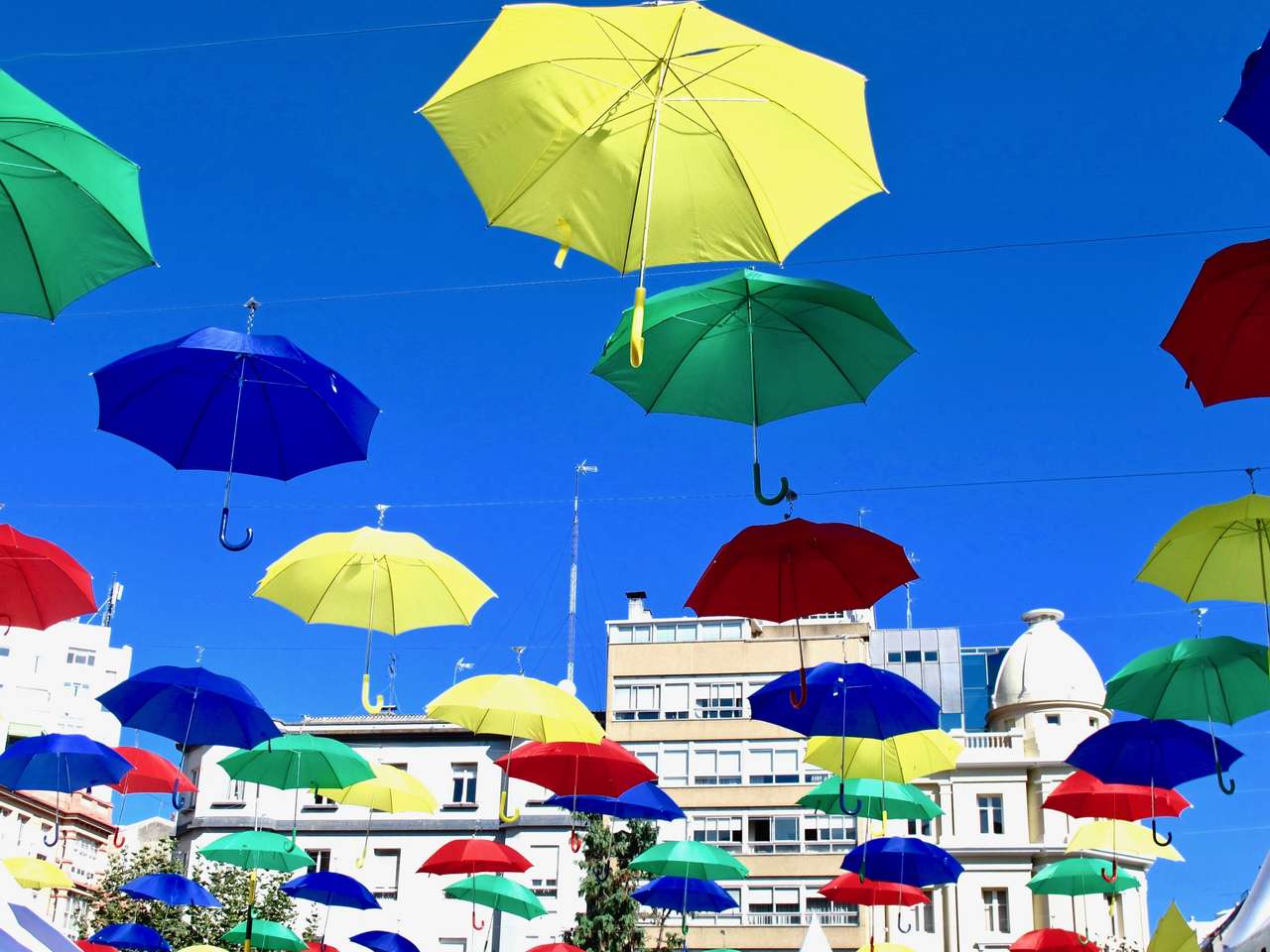 parasol na wietrze puzzle online