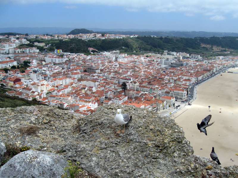 miasto i plaża w Portugalii puzzle online