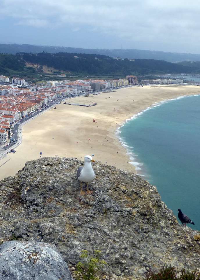 plaża w Portugalii puzzle online