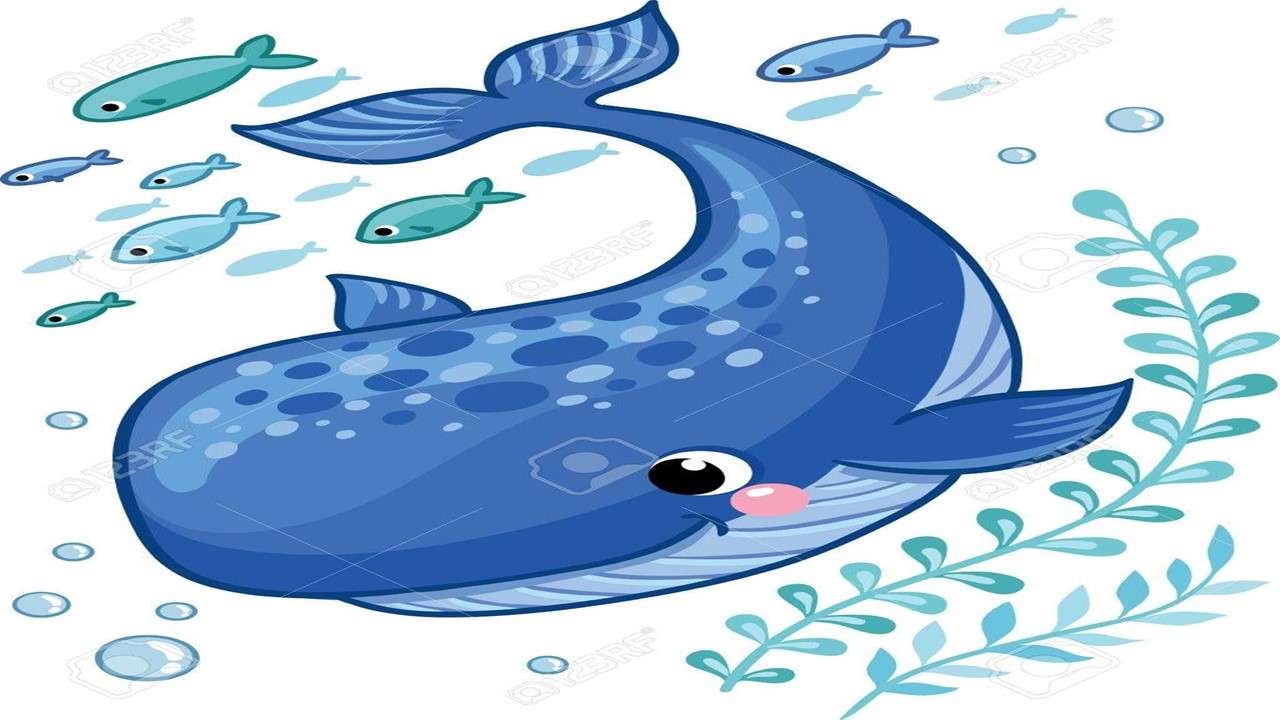 Mój płetwal błękitny. puzzle online