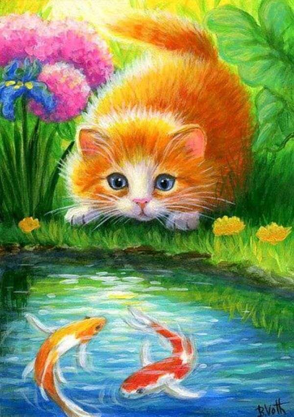 Kotek obserwujący ryby puzzle online