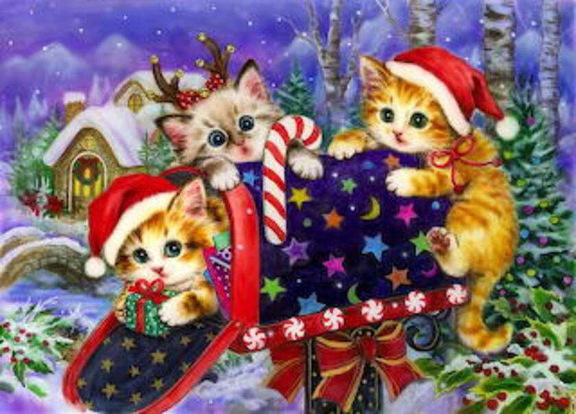 Kocięta w świątecznej skrzynce puzzle online