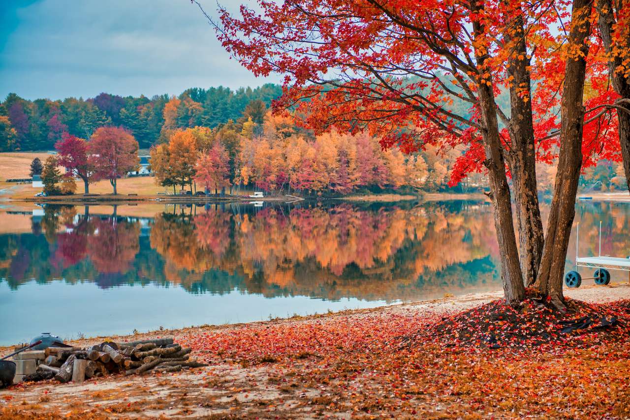 Niesamowite odbicia liści na jeziorze puzzle online