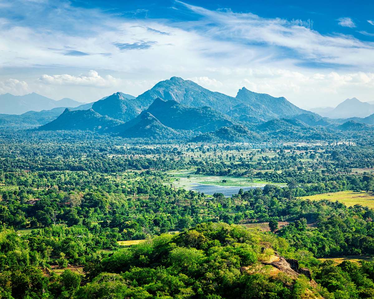 Krajobraz Sri Lanki - widok z Sigiriya rock puzzle online