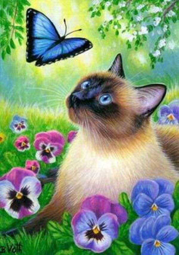 Kot syjamski oglądający motyla puzzle online
