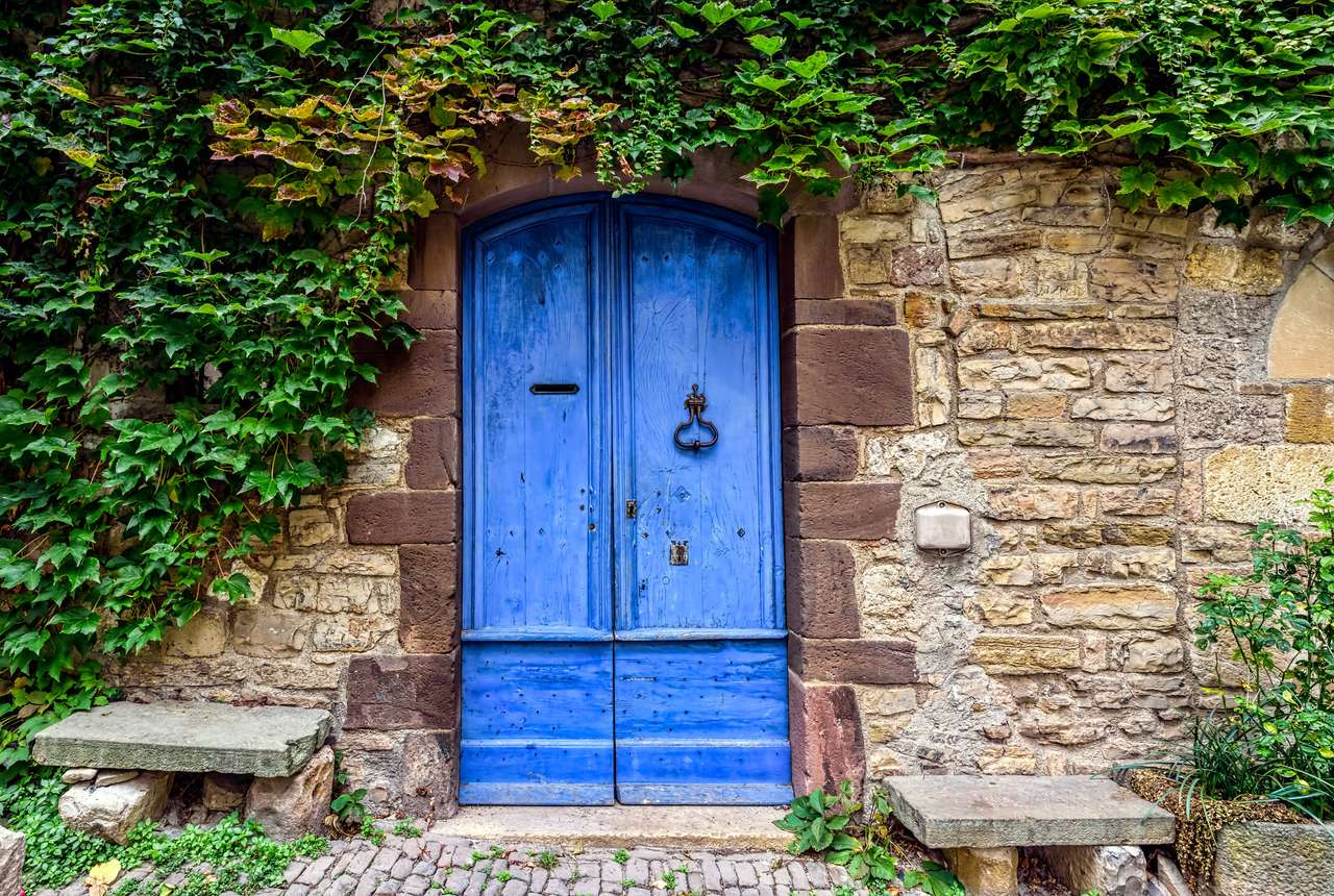 A blue and worn door with green ivy puzzle online
