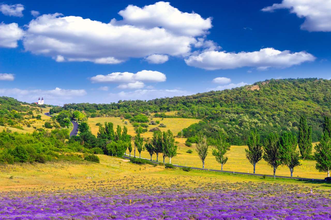 Lavendelveld in de zomer in Tihany, Hongarije puzzel