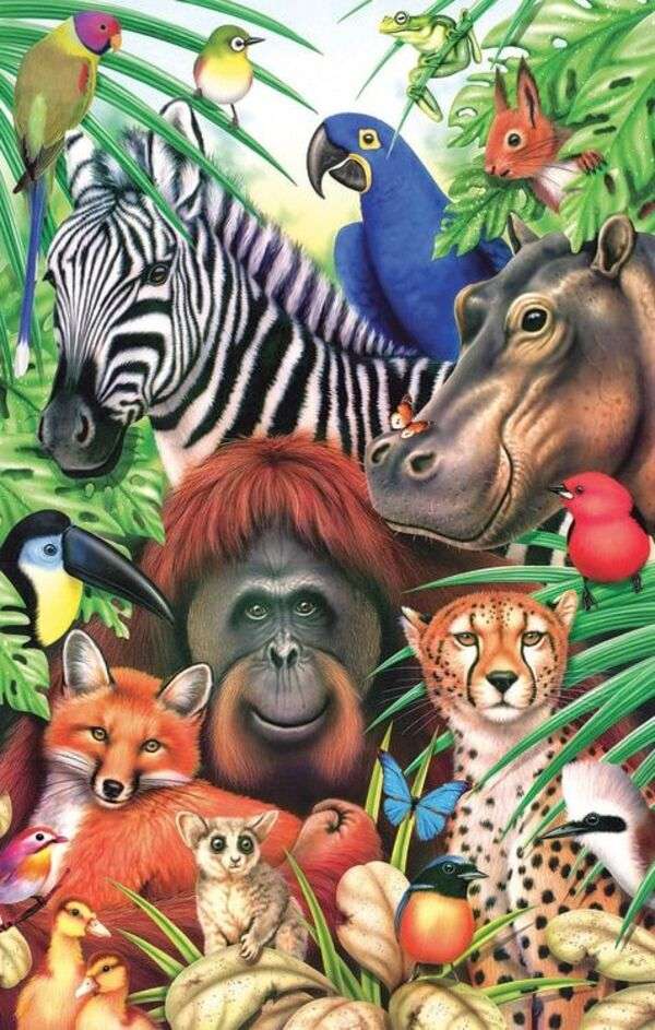 Różne gatunki zwierząt w dżungli puzzle online