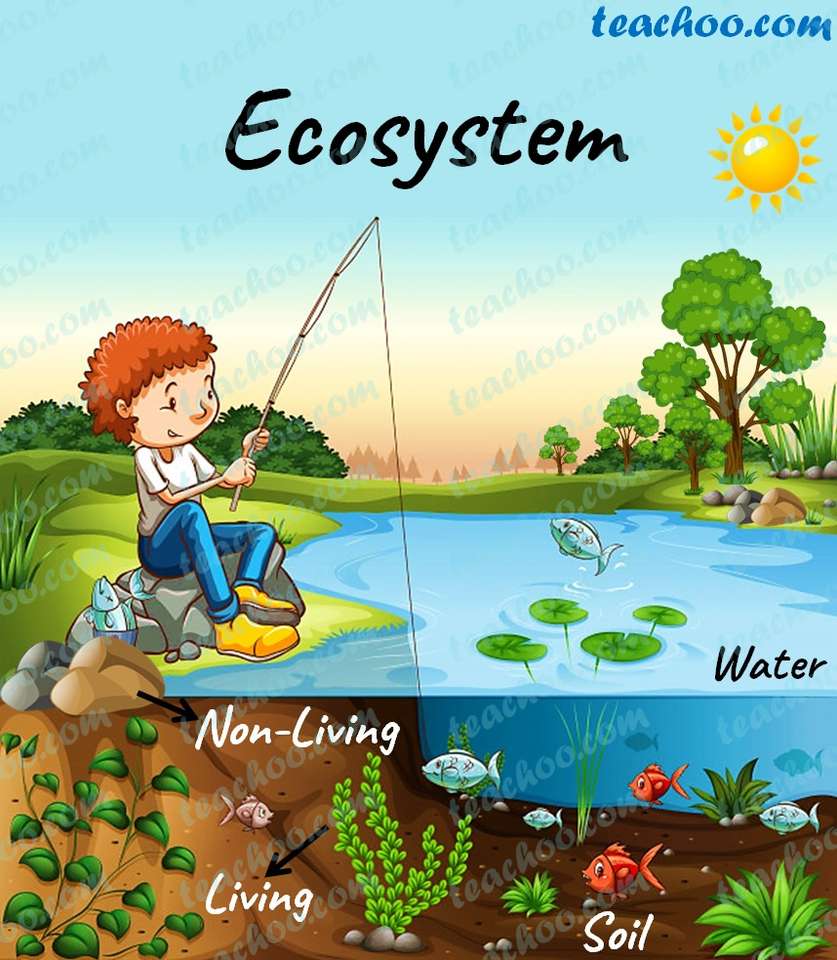 Ekosystemy puzzle online