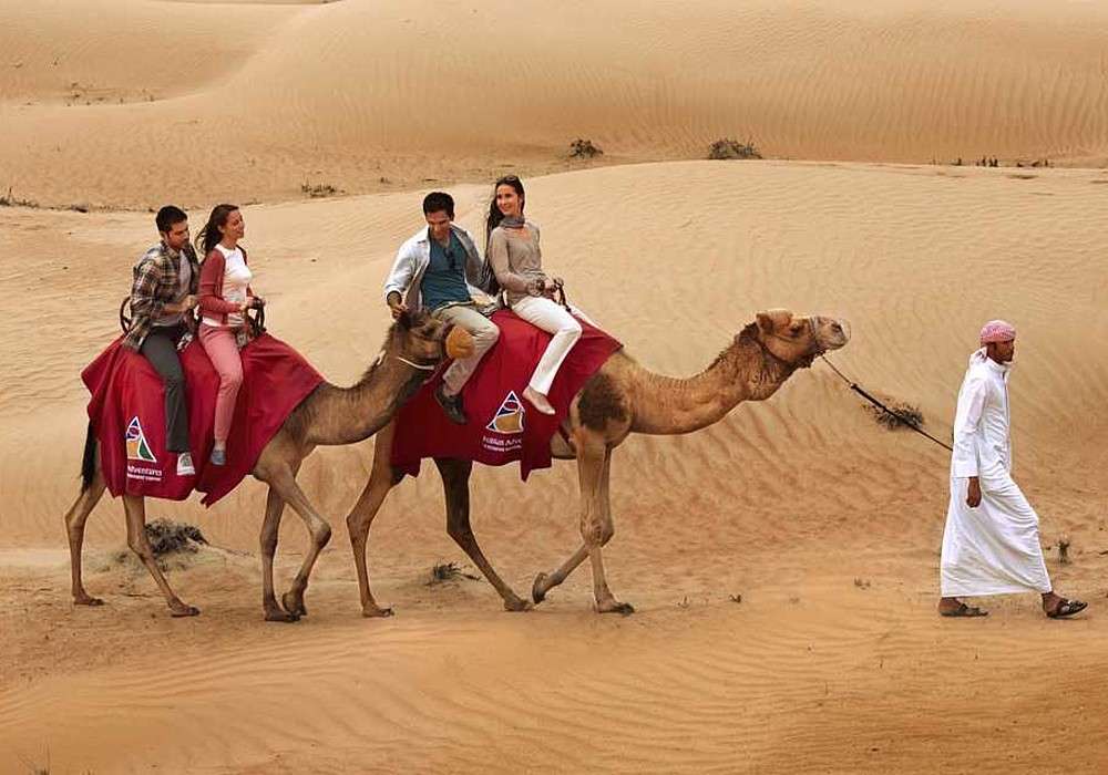 Wielbłądami przez pustynię w Katarze puzzle online