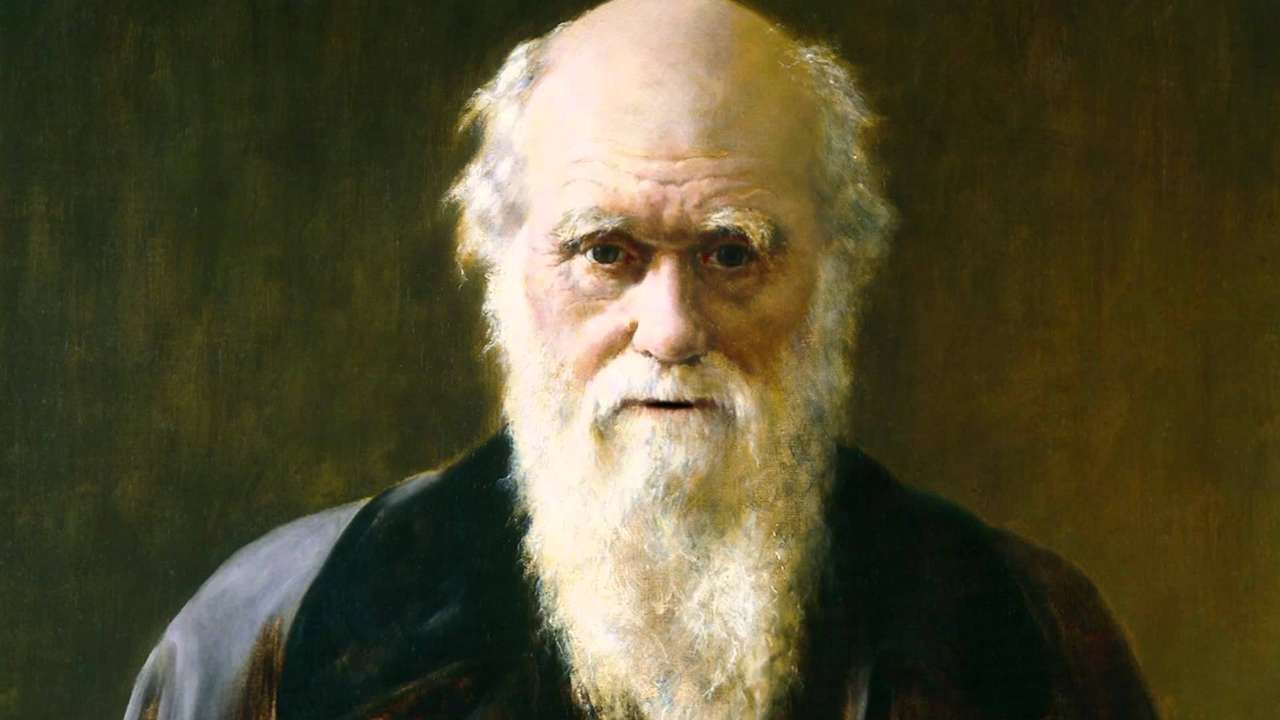 Ewolucja autorstwa Darwin puzzle online