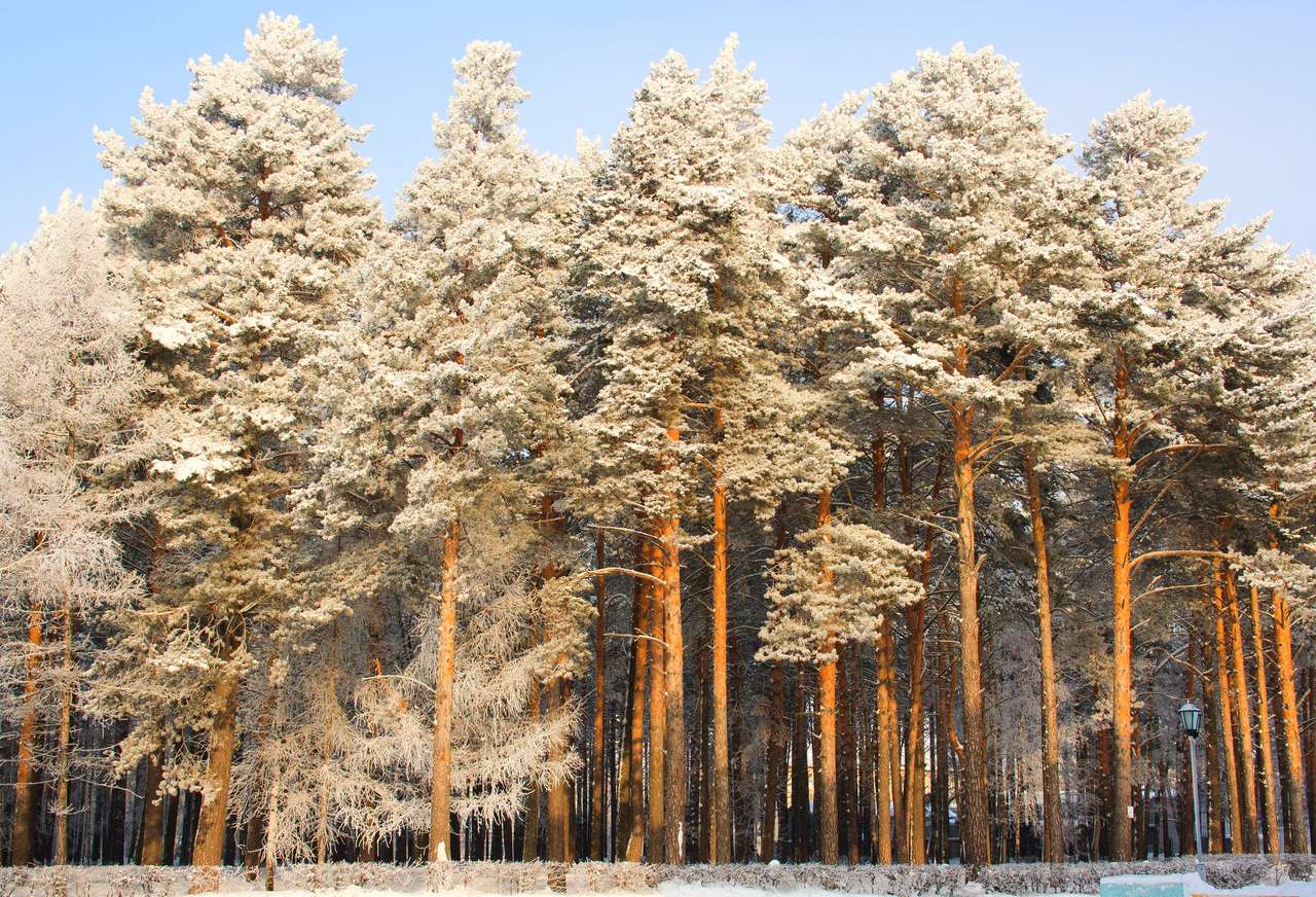 Piękny zimowy krajobraz puzzle online