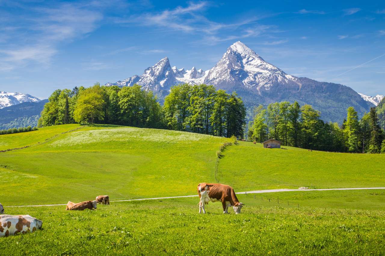 Idylliczny letni krajobraz w Alpach puzzle online