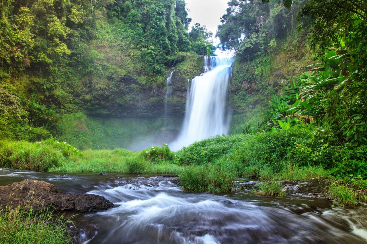 Piękny leśny wodospad w południowym Laosie puzzle online