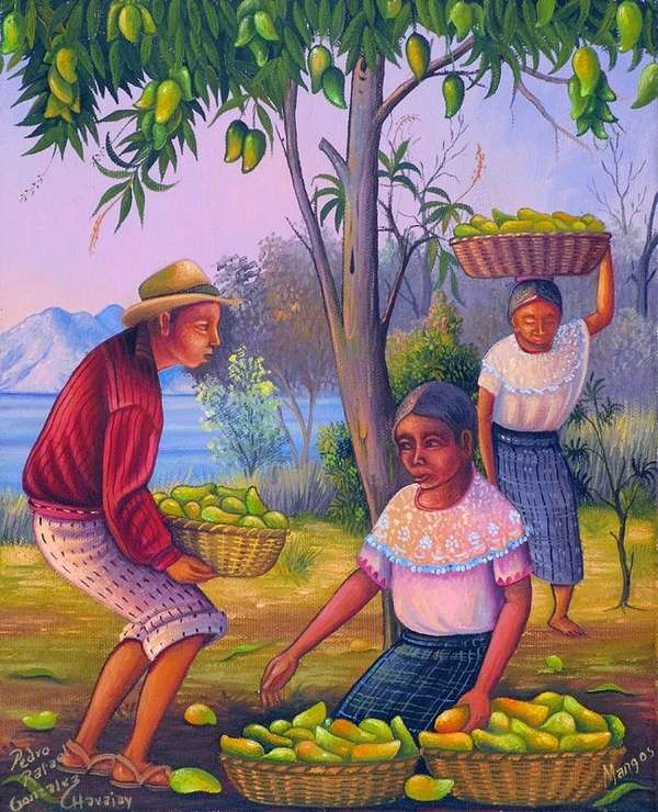 Krajobraz # 59 - Robotnicy zbierający mango puzzle online
