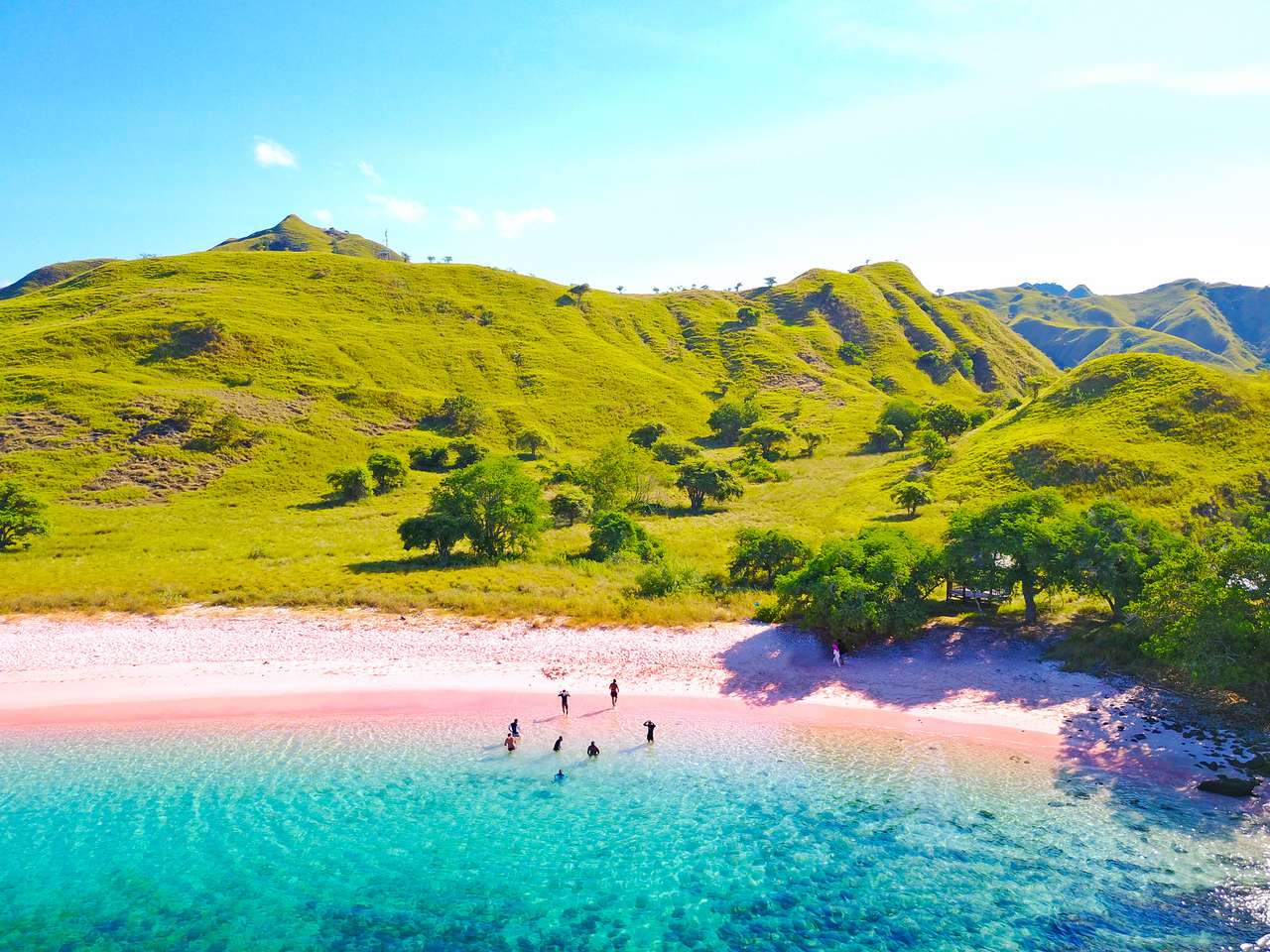 Pink beach in Flores puzzle