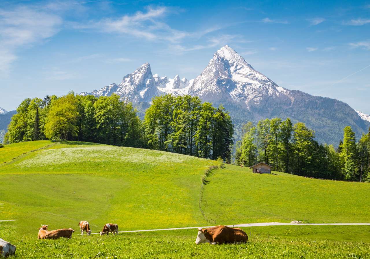 Idylliczny letni krajobraz w Alpach puzzle online