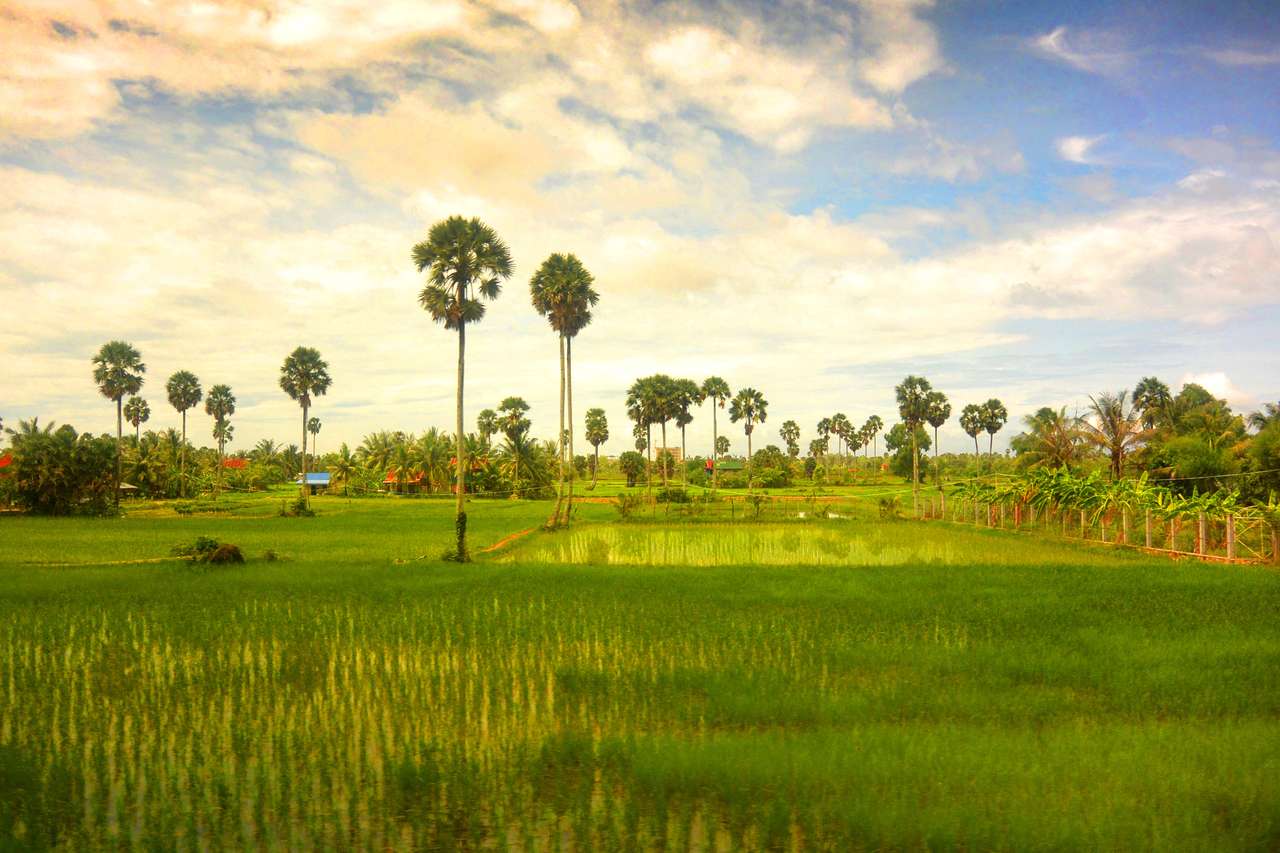 Krajobraz Azji Południowo-Wschodniej, Kambodża puzzle online