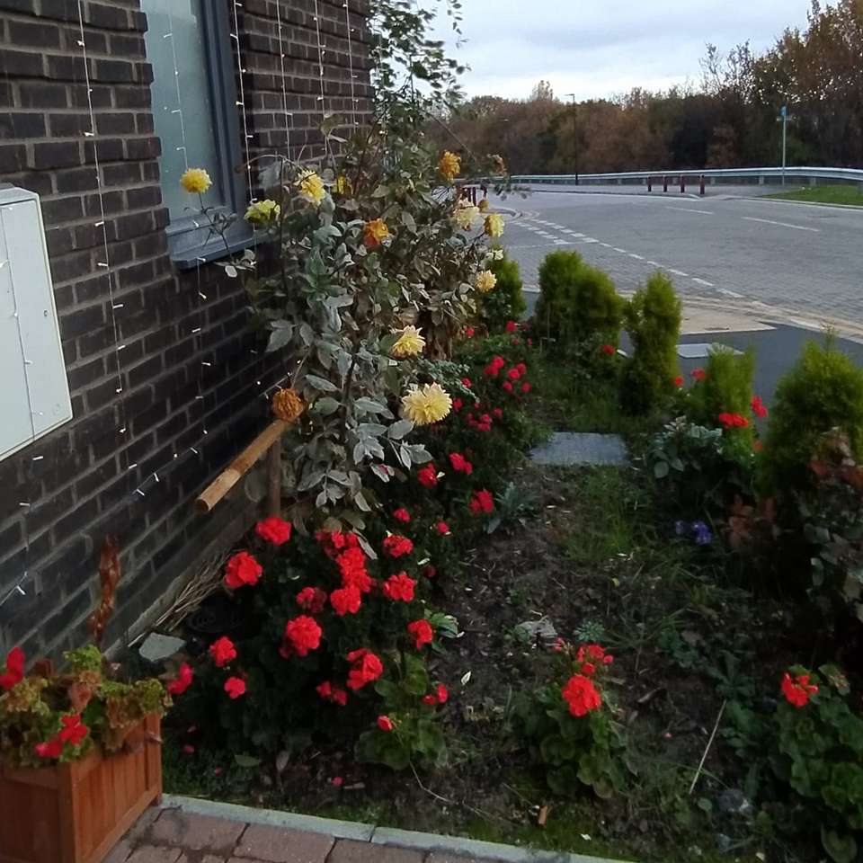 kwiaty w ogródku przed domem puzzle online
