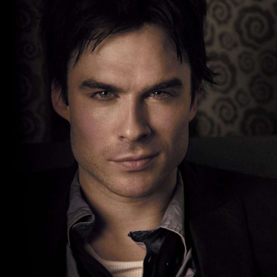 Damon Salvatore puzzle online