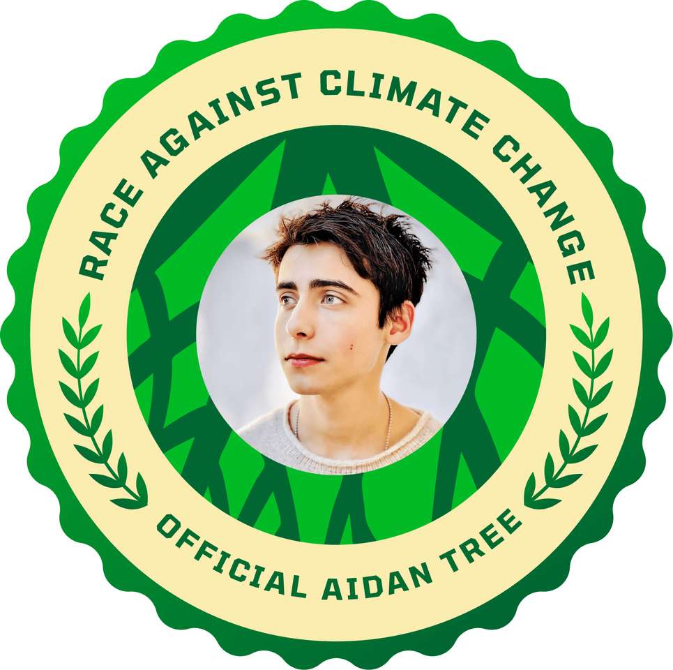 aidan gallagher puzzle online