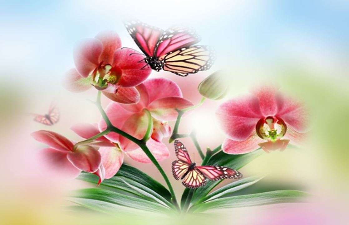 蘭と蝶 パズル