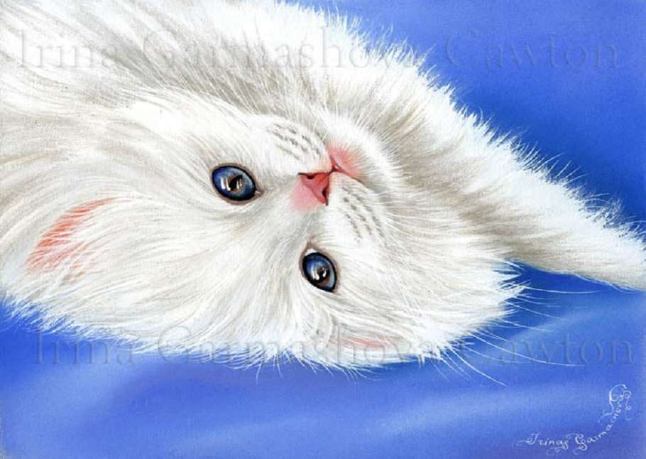 Kot angora o niebieskich oczach, najpiękniejsze oczy... puzzle online