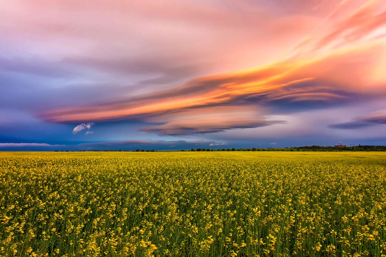 Niesamowite kolorowe chmury nad polem z żółtym rzepakiem puzzle online