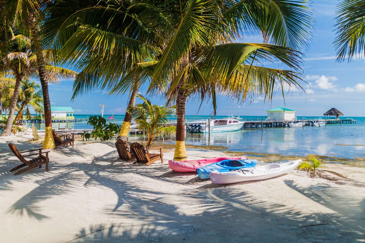 Palmy i plaża na wyspie Caye Caulker, Belize puzzle online