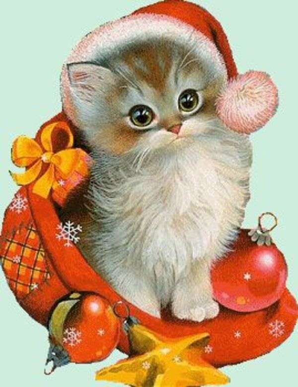 Boże Narodzenie #54 - Kotek w świątecznym kapeluszu puzzle online